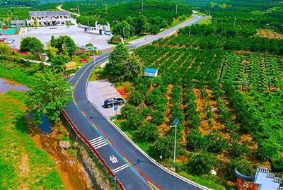 南站街道2022年四好農(nóng)村路建設(shè)